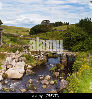 Antike Klöppel Brücke in der Nähe von Princetown, Dartmoor, Devon, UK Stockfoto