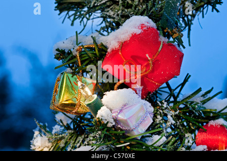 Den Niederlanden,'s-Graveland, Weihnachtsbäume mit Lichter im Schnee. Einbruch der Dunkelheit. Stockfoto