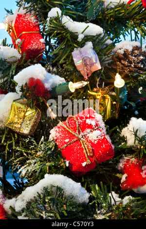 Den Niederlanden,'s-Graveland, Weihnachtsbäume mit Lichter im Schnee. Einbruch der Dunkelheit. Stockfoto