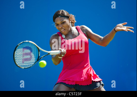 Aegon International Tennis Turnier, Eastbourne 2011, East Sussex. Serena Williams aus den USA. Stockfoto