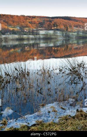 Noch Januarabend Blick nach Osten über Coniston Water im Lake District in Richtung Grizedale Moor Stockfoto