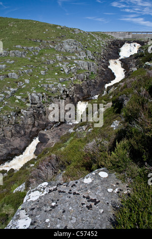 Kessel-Schnauze-Wasserfall in Teesdale, County Durham in North Pennines, mit Kuh grünen Damm im Hintergrund Stockfoto