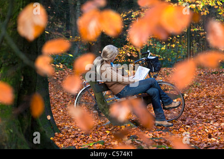 Die Niederlande, Denekamp, Landgut Singraven. Herbstfärbung. Frau, Radfahrer-Karte im Wald, entspannen Sie sich auf die Bank zu betrachten. Stockfoto