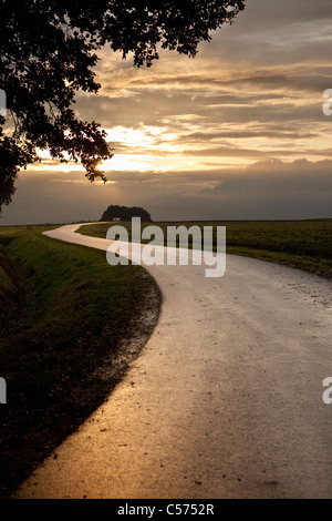 Den Niederlanden, Ootmarsum. Straße bei Sonnenuntergang. Auto. Stockfoto