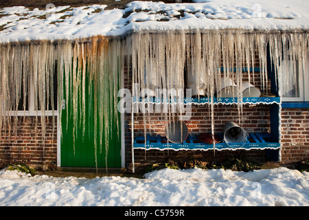 Niederlande, Staphorst, Winter, Eiszapfen auf Bauernhof Dach. Stockfoto