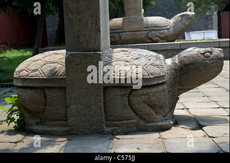 Bixi (Steinschildkröte) trägt Tabletten im Dai Tempel auf dem Taishan Berg, Shandong, China. 10-Jul-2011 Stockfoto
