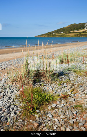 Llanddona, Isle of Anglesey, North Wales, UK. Ansicht von Pebble Beach mit Gräser wachsen am Ufer in Red Wharf Bay Stockfoto