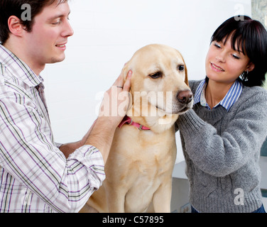Paar gemeinsam einen Hund streicheln Stockfoto