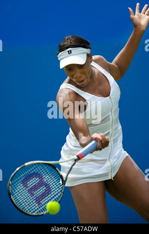 AEGON International 2011, Eastbourne, East Sussex, England, UK. Venus Williams in Aktion. Stockfoto
