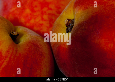 Eine sehr enge Foto der drei sehr schöne Pfirsiche. Stockfoto