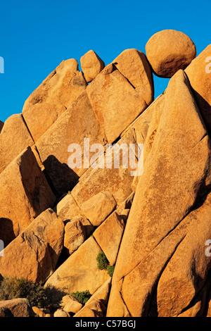 Abendlicht taucht die geometrisch geformten Granitfelsen der Jumbo Rocks im kalifornischen Joshua Tree National Park. Stockfoto