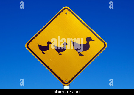 Verkehrszeichen, Enten, crossing, Auckland, New Zealand, Montag, 11. Juli 2011. Stockfoto