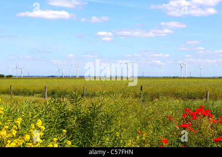 Romney Marsh Wind Farm Kent England UK GB Stockfoto