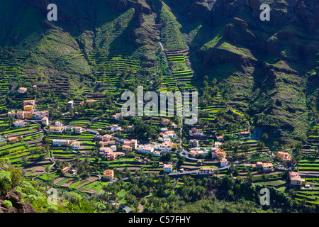 Valle Korn Rey, Spanien, Europa, Kanarische Inseln, Inseln, La Gomera, Insel, Insel, Tal, Häuser, Häuser, Felder, Terrasse Cultivati Stockfoto