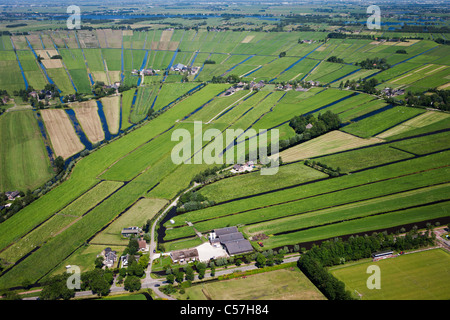 Den Niederlanden, Woerden, Ackerland im Polder. Luft. Stockfoto