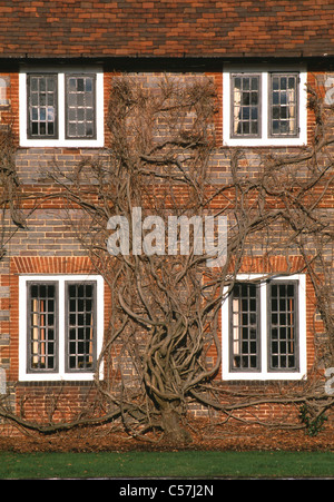 Folly Farm, Sulhampstead, Berkshire, England, 1906-1912. Stockfoto