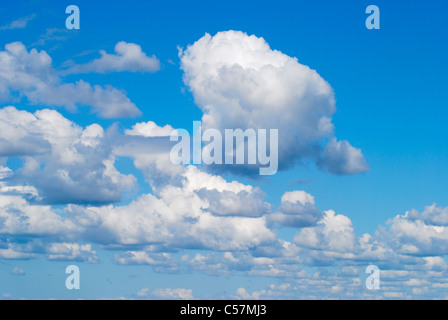 Cumulus-Wolken bilden in einem strahlend blauen Himmel über Küste in Brighton, East Sussex, England Stockfoto
