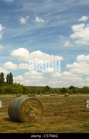 Gerollten Heuballen auf einem Feld am Bourne End in Buckinghamshire, Vereinigtes Königreich Stockfoto