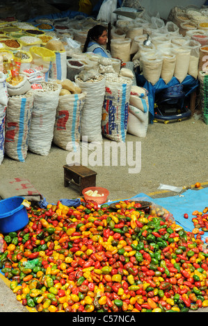 Ein Haufen von Paprika zu verkaufen in einem peruanischen Markt Stockfoto
