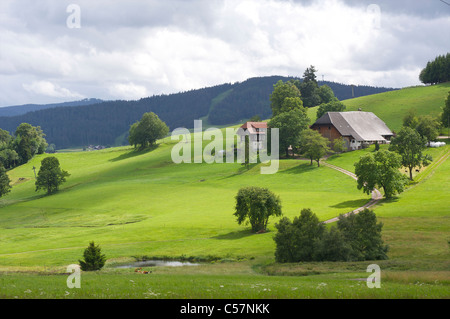 Spektakuläre Landschaft mit Bauernhaus und Sonnenlicht auf den Hügeln im Schwarzwald, Baden-Württemberg, Deutschland Stockfoto