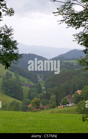 Verschiedene Bauernhöfe und Häuser in einer grünen Berglandschaft im Schwarzwald, Baden-Württemberg, Deutschland Stockfoto