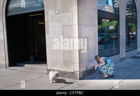 Eine Frau im New Yorker Stadtteil Chelsea nimmt nach ihrem Hund Stockfoto