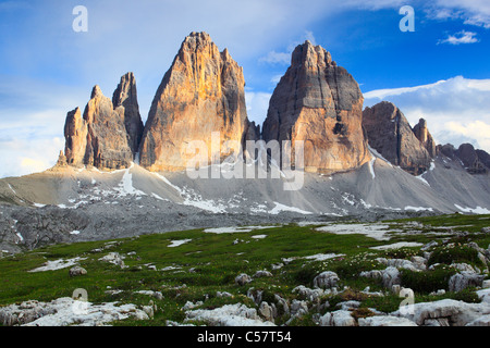 Abend, Abendstimmung, Alpen, Alpenflora, Alpenglühen, Alpen-Panorama, Blick, Berg, Berg Blume, Berge, Berg Flor Stockfoto