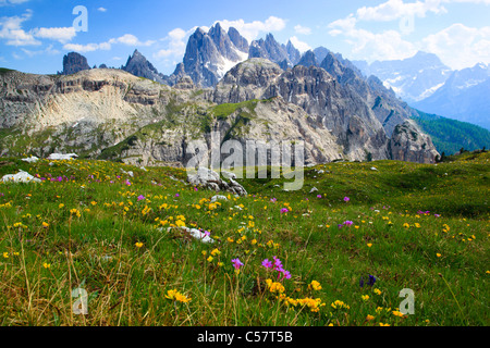 Am Abend, am Abend Stimmung, Alpen, Alpenflora, Alpenglühen, Alpen-Panorama, Blick vom Auronzohutte, Berg, Berg Blume, Hütte Stockfoto