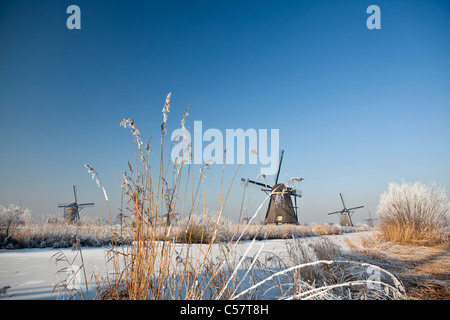 Die Niederlande, Kinderdijk, Windmühlen im Schnee, UNESCO-Weltkulturerbe. Stockfoto