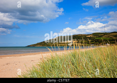 Blick auf ruhigen Sandstrand mit Gräsern wachsen am Ufer in Red Wharf Bay. Llanddona, Isle of Anglesey, North Wales, UK Stockfoto