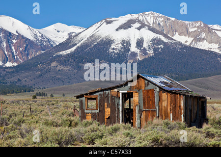 Verlassenen baufälligen westlichen Hütte in den Bergen der Sierra Nevada in der Nähe von Mono Lake Kalifornien USA Stockfoto