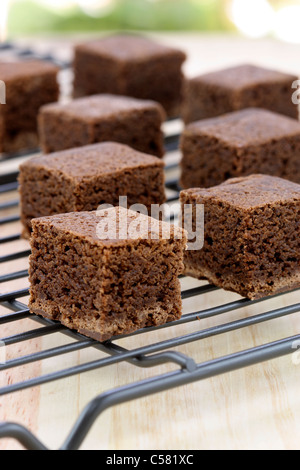 frische herrlich feucht Brownies mit einem tief fudgy Schokoladenaroma Stockfoto