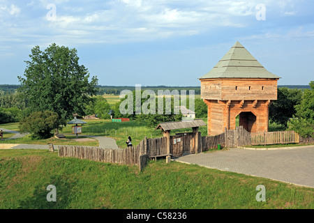 Europa, europäische, Ost-Europa, Osteuropa, Cherkasy Oblast, Ukraine, Ukrainisch, Architektur, bauen, Haus, Subbotov, seine Stockfoto