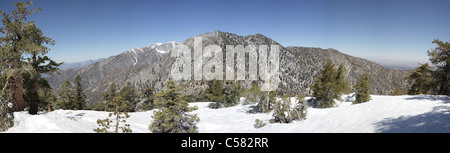 Ansicht des Telegraph Peak mit Mount San Antonio dahinter von Holz Berg gesehen. Stockfoto