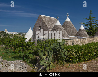 Italien, Europa, Trulli, Locorotondo, Apulien, Haus, Frühling, Stockfoto