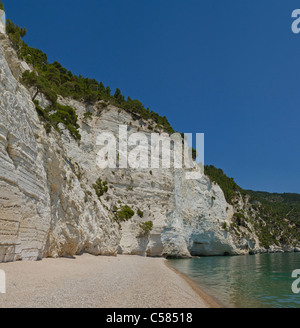 Italien, Europa, Kalkstein, Felsen, Baia di Vignanotica, Vieste, Gargano, Apulien, Landschaft, Wasser, Frühling, Strand, Meer, Stockfoto