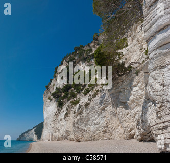 Italien, Europa, Baia di Vignanotica, Gargano, Apulien, Landschaft, Wald, Holz, Bäume, Frühling, Strand, Meer, weißen Klippen, Stockfoto