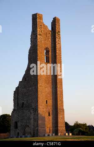 Republik von Irland, County Meath, Irland, Co.Meath, trimmen, Schloss, Burg, Burgen, Boyne Valley, Tourismus, Reisen, Urlaub, Vaca Stockfoto