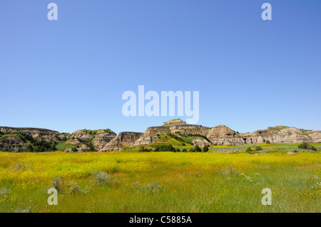 Land-Formationen im Theodore-Roosevelt-Nationalpark, North Dakota, USA. Stockfoto