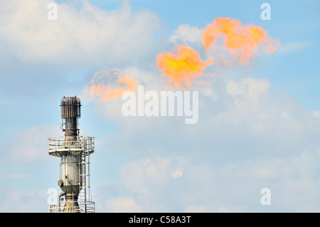 Gasbrenner, Kokerei, Schwelgern, ThyssenKrupp, abbrennen, Flammen, Duisburg, Nordrhein-Westfalen, Deutschland, Europa Stockfoto