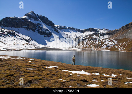 Alpen, Berge, Bergsee, Berg Reisenden, Bergwandern, Mountainbike, Wandern, Europa, Flora, Gipfel, Spitze, Graubunde Stockfoto