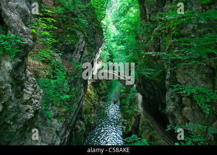 Areuse, Areuseschlucht, Gorges de l'Areuse, gewölbte Brücke, Brücke, Europa, Fluß, fließen, Jura, Berge, Person, Neuenburg, Neuc Stockfoto