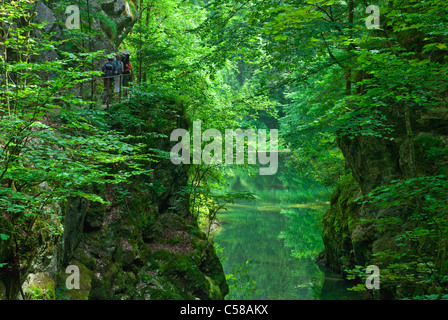 Areuse, Areuseschlucht, Gorges de l'Areuse, Europa, Fluss, fließen, Jura, Berge, Person, Neuenburg, Neuenburg, Kanton NE, Perso Stockfoto