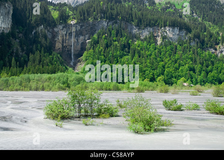 Alpen, Bach, Bergbach, Bergsee, Bern, Kanton BE, Berner Oberland, Berner Voralpen, Europa, Gornerewasser, Bach Gwind Stockfoto