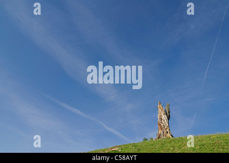 Alpen, Baumstumpf, stumpf, Bern, Kanton BE, Berner Oberland, Berner Voralpen, Cirrus, Cirri, Europa, Flugzeug-Streifen, Himmel, Jaunpass Stockfoto