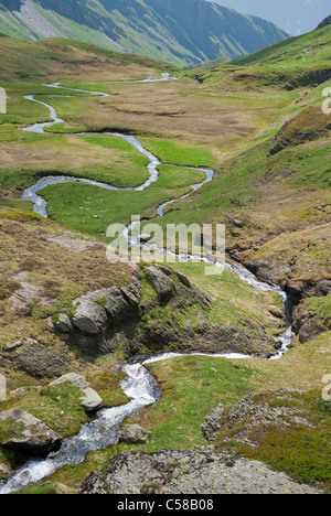 Bergbach, Bern, Kanton BE, Berner Oberland, Europa, Grat, Fluss-Schleifen, Grindelwald, Porträt, Milibach, Grindelwald, Mea Stockfoto