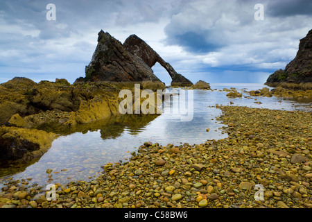 Bogen Geige Rock, Rock, Großbritannien, Schottland, Europa, Meer, Küste, Kliffküste, Formen der Felsen, Klippe Kurven, Steinen, Erosion, Ti Stockfoto