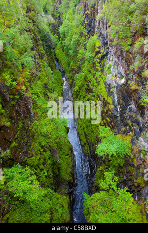 Corrieshalloch Schlucht Großbritannien Schottland Europa Gulch Fluss Fluss Felswände, Bäume Stockfoto