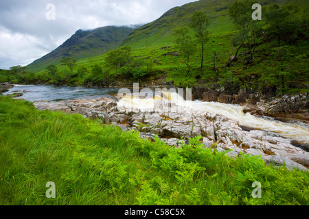 Glen Etive, Großbritannien, Schottland, Europa, Tal, Fluss, Fluss, Fels, Klippe, Stromschnellen, Bäume, Farn, Wolken, Regen Stockfoto