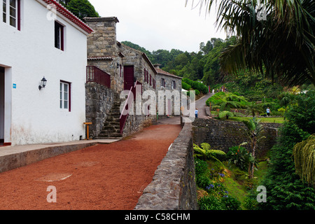 Der berühmte Wasserfall bei Ribeira Dos Caldeirões Naturpark, Achada, Nordeste Region, Insel São Miguel, Azoren. Stockfoto